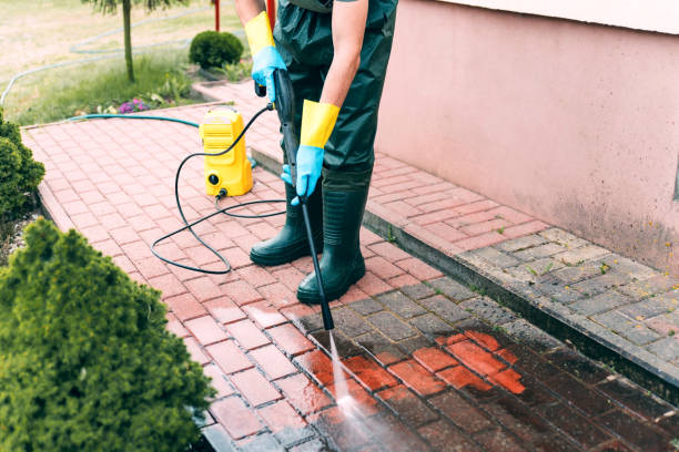 Best Animal Enclosure Cleaning  in Thorofare, NJ